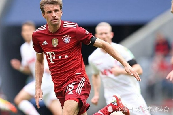 九游娱乐-关于德国杯倒计时，夏洛特黄蜂今晚豪取连胜，细节引发关注，目标明确，球队文化再被提及的信息